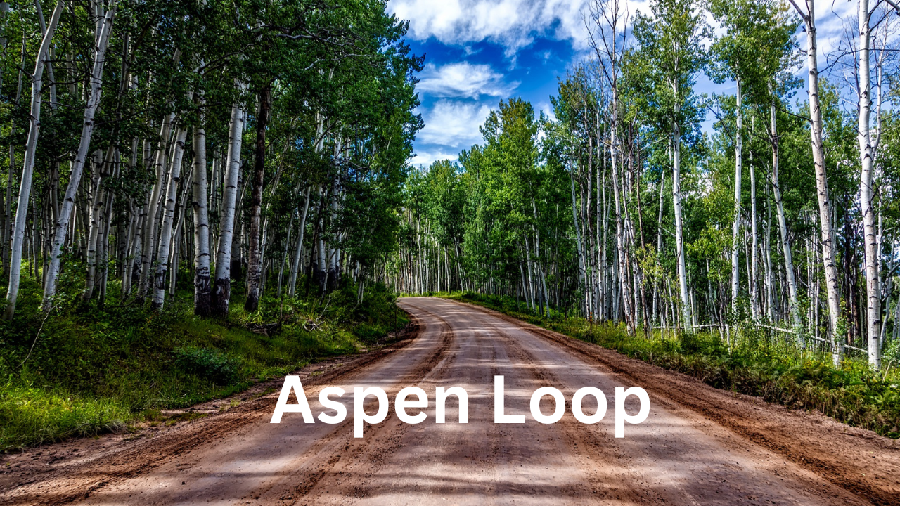 Exploring the Aspen Loop: A Complete Guide for Hikers and Nature Enthusiasts